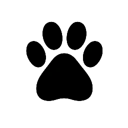 Doodle Salty Paws